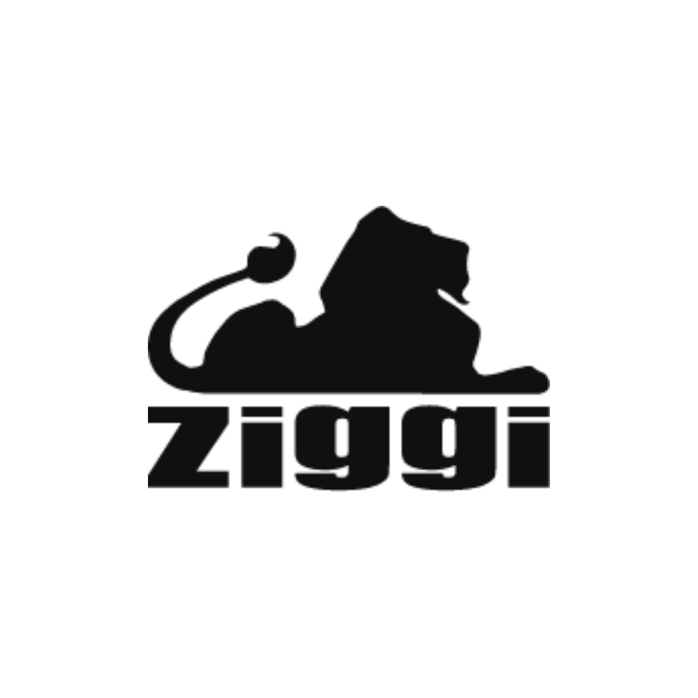Ziggi