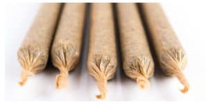close-up shot of five pre-rolled joints.