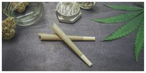 MixCollage-14-Mar-2025-02-46-PM-9052 (1)