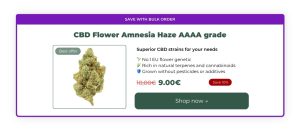 amnesia_haze_banner_red_eye_monkey-300x132 Best Cannabis Strains for Easing Anxiety