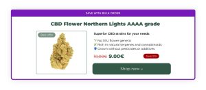 northern_lights_banner_red_eye_monkey-300x132 Best Cannabis Strains for Easing Anxiety