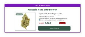 amnesia_haze_banner_red_eye_monkey-300x132 Cannabis-Derived Terpenes vs Botanical Terpenes
