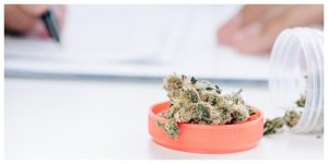 MixCollage-24-Sep-2025-01-07-PM-8448-1-300x150 Medical Cannabis vs CBD in Europe: 7 Key Differences You Should Know