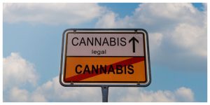 blog_cannabis_sign_red_eye_monkey-300x150 Is Delta 8 Legal in Europe? (2025 Update)