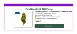 forbidden_fruit_banner_red_eye_monkey-300x132 Medical Cannabis vs CBD in Europe: 7 Key Differences You Should Know