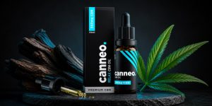 6666-300x150 Differences Between CBD, CBG, CBDA, CBN and CBC Explained