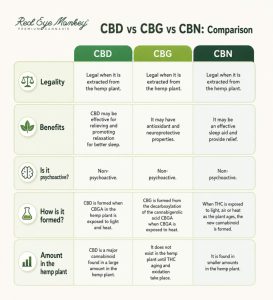 ChatGPT-Image-1.-maj-2026-13_23_55-1-273x300 Differences Between CBD, CBG, CBDA, CBN and CBC Explained